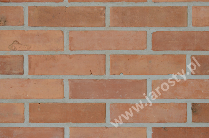 кирпичный завод в Польше грубая керамика облицовочный фасадный кирпич угольные горелки