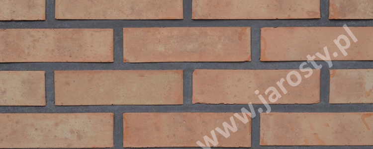 кирпичный завод в Польше грубая керамика облицовочный фасадный кирпич угольные горелки